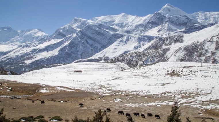 Annapurna Circuit Trek in March