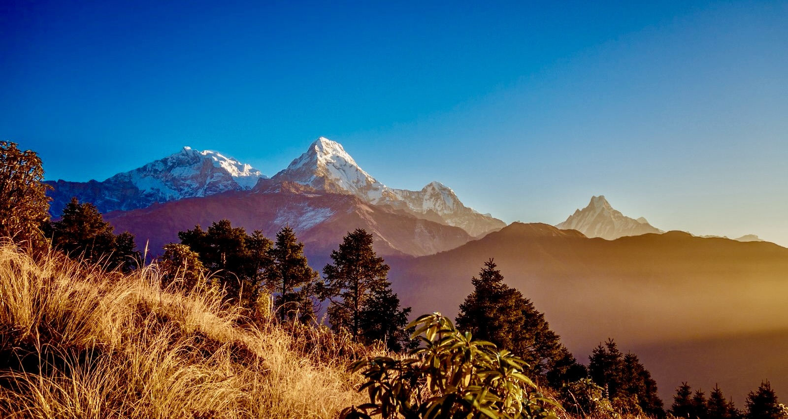 GHOREPANI POON HILL TREK